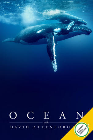 Ocean with David Attenborough